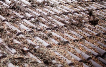 Ashe roof cleaning companies